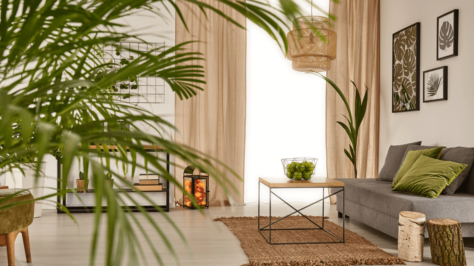 Decoração com Propósito: Como o Verde Humaniza Espaços Urbanos