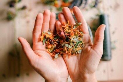 Ervas que Curam: Fitoterapia Para Vidas Aceleradas