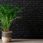 Estilo Brooklyn: Plantas que Combinam com Tijolinho e Concreto