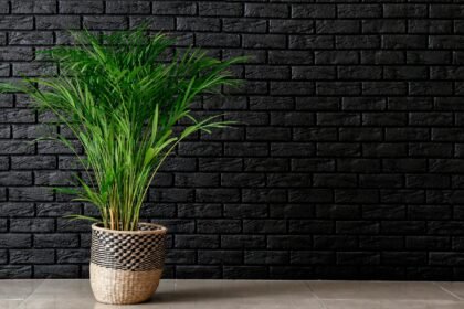 Estilo Brooklyn: Plantas que Combinam com Tijolinho e Concreto