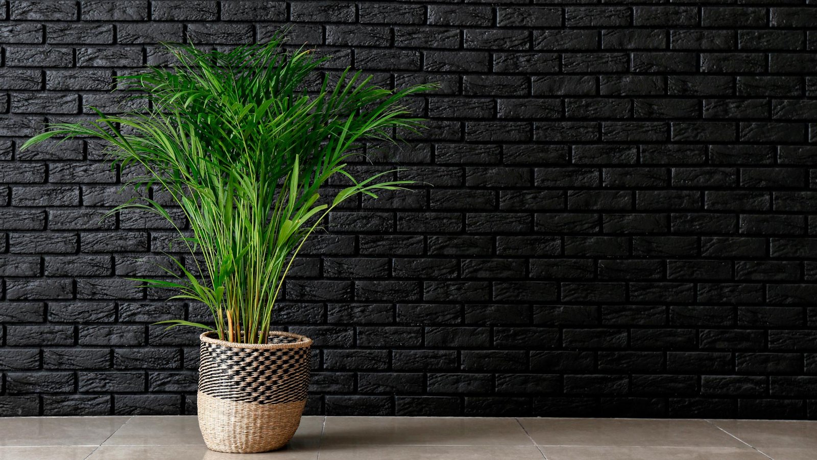 Estilo Brooklyn: Plantas que Combinam com Tijolinho e Concreto