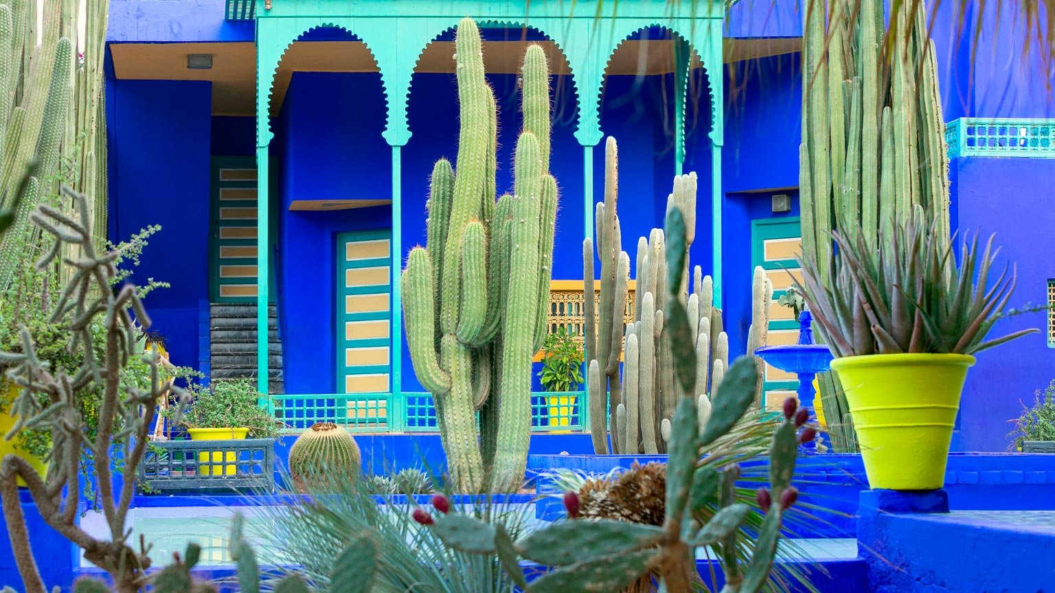 Transforme seu espaço com o charme dos jardins marroquinos. Inspiração, elementos e dicas práticas pra criar um cantinho cheio de história, cor e natureza em casa.