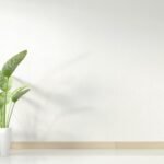 Transforme sua casa em um refúgio verde com o minimalismo certo. Descubra as melhores plantas para cada cômodo e como integrá-las ao seu estilo de vida urbano.