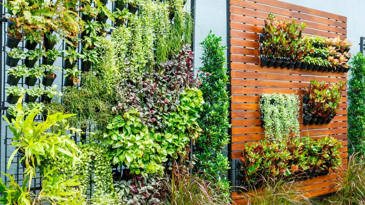 Descubra as 5 melhores estruturas de cultivo vertical DIY para transformar qualquer cantinho urbano em um oásis verde. Criatividade, economia e muito estilo.