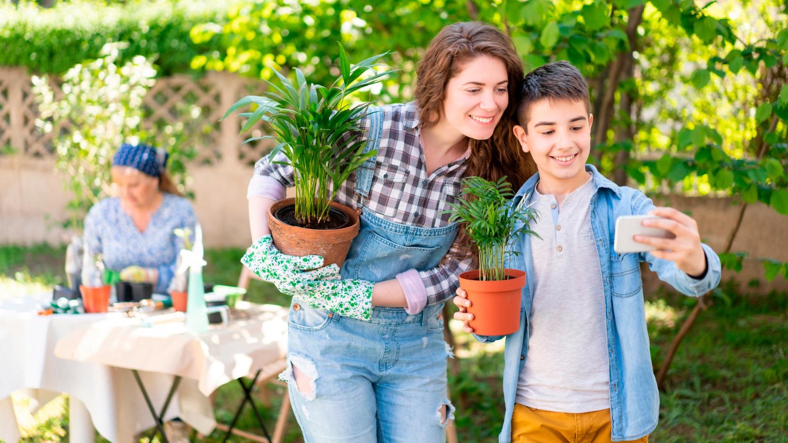 Conheça os melhores aplicativos de jardinagem para cuidar das suas plantas sem erro. Dicas práticas, tecnologia e verde no seu bolso — direto do seu celular.