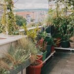 Verde na Altura: Dicas para Cultivar em Pequenos Espaços