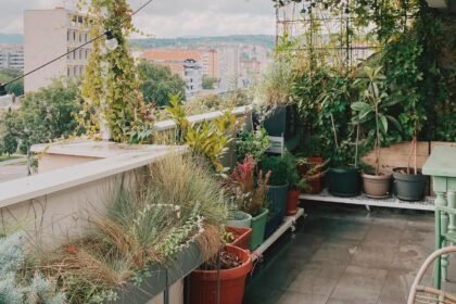 Verde na Altura: Dicas para Cultivar em Pequenos Espaços