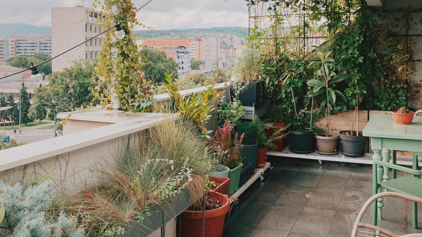 Verde na Altura: Dicas para Cultivar em Pequenos Espaços