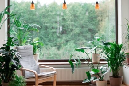 Conheça os jardins automatizados e descubra como a tecnologia está revolucionando o cultivo dentro de casa. Praticidade, controle e verde no dia a dia urbano.