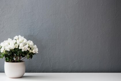 14 Dicas para Fazer Suas Flores Durarem Mais no Vaso