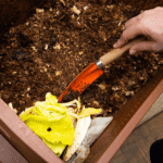 Como Fazer Compostagem Sem Cheiro e Sem Incomodar os Vizinhos