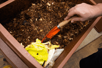 Como Fazer Compostagem Sem Cheiro e Sem Incomodar os Vizinhos