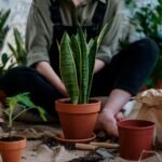 Como Montar um Mini Jardim de Vasos em Pequenos Espaços