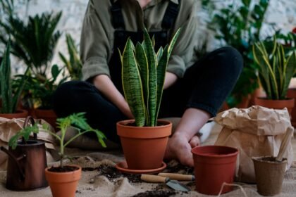Como Montar um Mini Jardim de Vasos em Pequenos Espaços