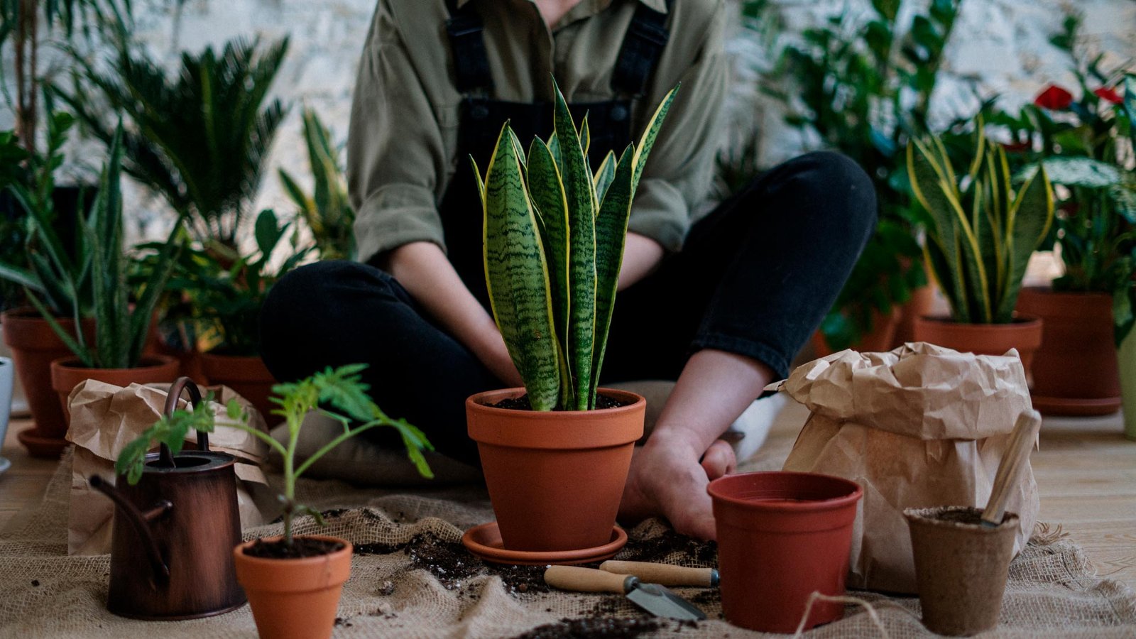 Como Montar um Mini Jardim de Vasos em Pequenos Espaços