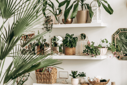 Como Usar Plantas no Apê para Reduzir o Estresse