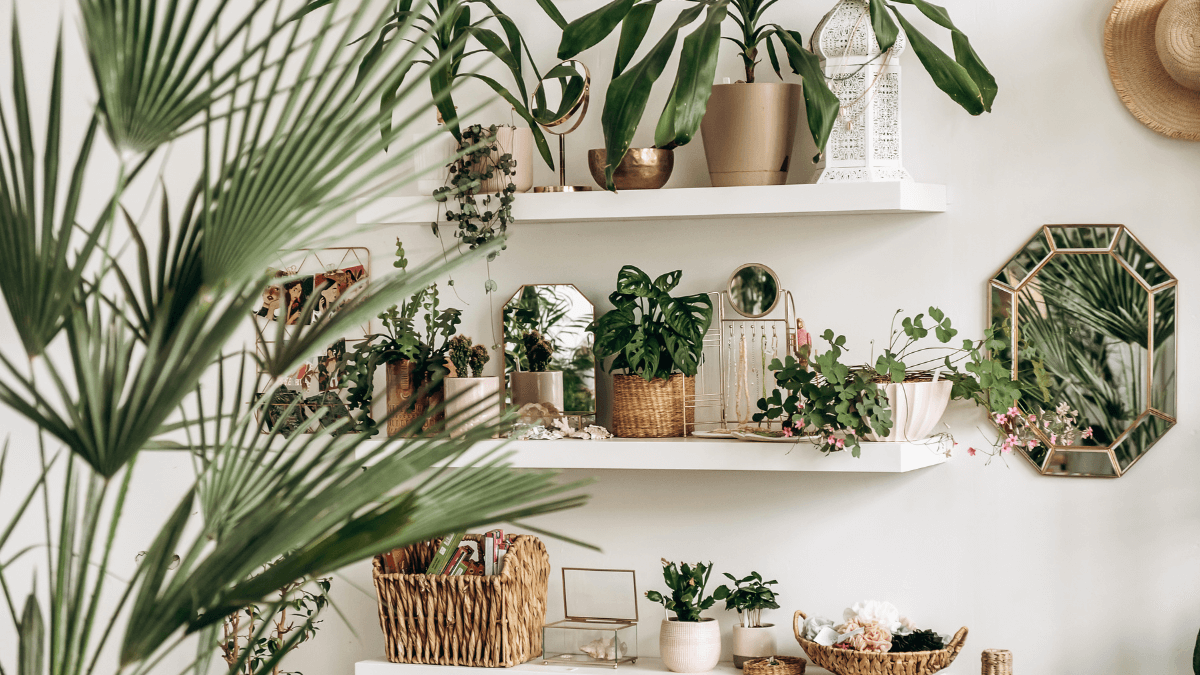 Como Usar Plantas no Apê para Reduzir o Estresse