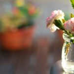 DIY: Monte Seus Próprios Vasos Criativos com Materiais Urbanos