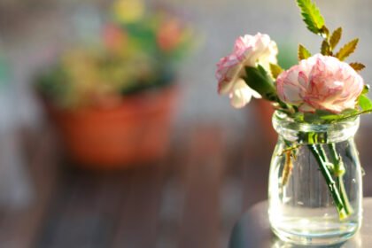 DIY: Monte Seus Próprios Vasos Criativos com Materiais Urbanos