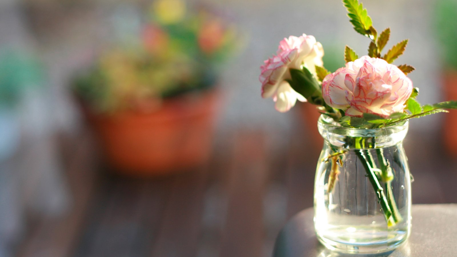 DIY: Monte Seus Próprios Vasos Criativos com Materiais Urbanos