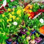 Transforme seu apartamento em um ambiente perfumado e acolhedor com flores aromáticas. Descubra as melhores flores para cultivar em casa e dicas para espalhar frescor e estilo por todo o espaço. Aromatize seu apê de maneira natural e charmosa!