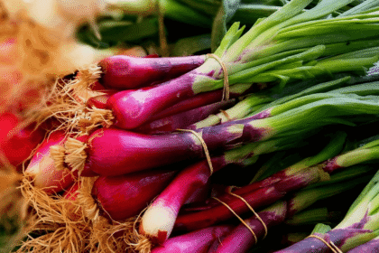 Horta com Reaproveitamento: Como Plantar a Parte Que Sobra do Supermercado