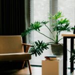 Plantas na Sala: Como Criar Ambientes Confortáveis e Naturais