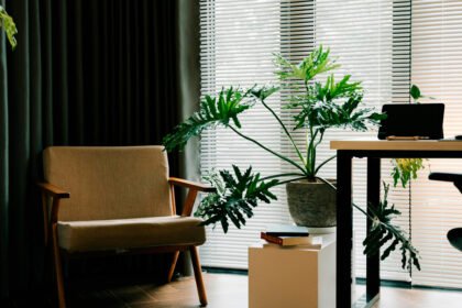 Plantas na Sala: Como Criar Ambientes Confortáveis e Naturais