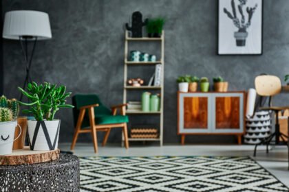 Plantas na Sala: Como Criar Ambientes Confortáveis e Naturais