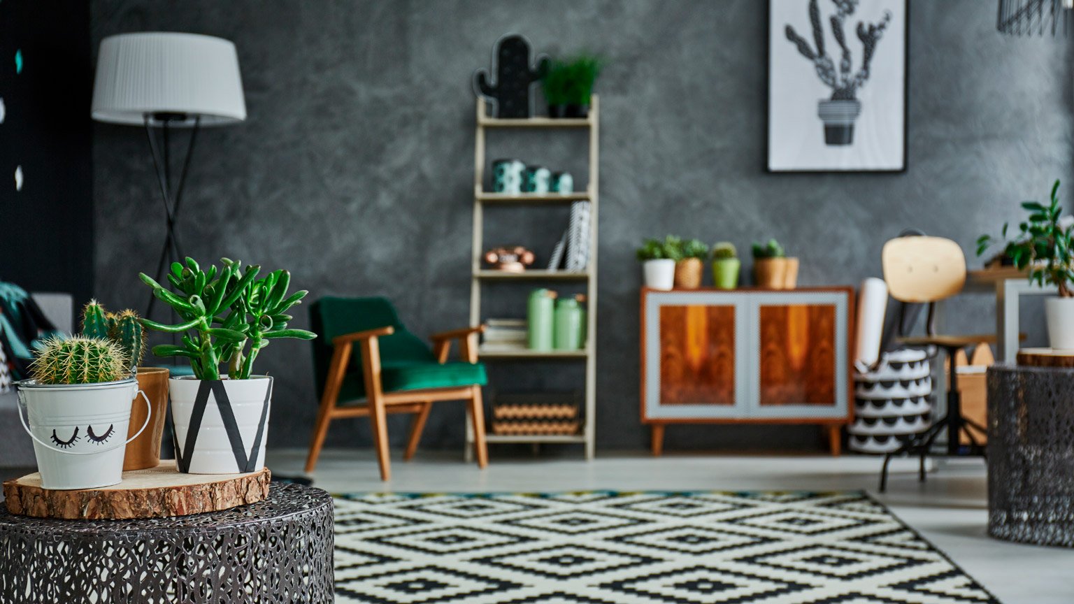 Plantas na Sala: Como Criar Ambientes Confortáveis e Naturais