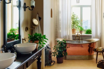 Plantas para Banheiro: Como Criar Ambientes Refrescantes e Relaxantes