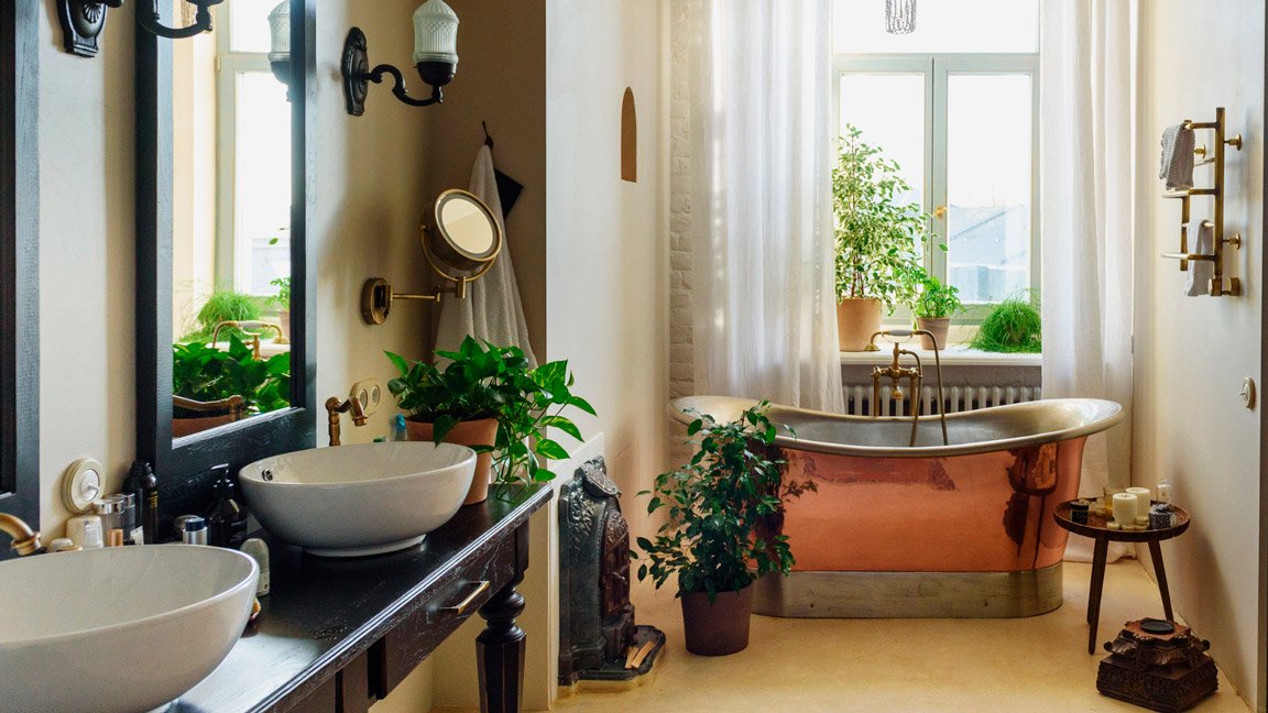 Plantas para Banheiro: Como Criar Ambientes Refrescantes e Relaxantes