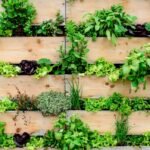 jardim vertical 30 FAQ