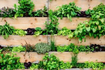 jardim vertical 30 FAQ