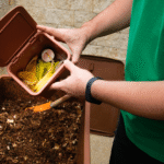 🌱 Compostagem no Apê: Como Transformar Lixo Orgânico em Ouro Verde