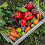 Guia PRÁTICO para cultivar 30 alimentos em apartamento! Aprenda a plantar cenoura, tomate, morango e outros + Comparativo dos melhores kits de horta urbana, substratos e ferramentas profissionais. Comece sua colheita hoje mesmo!