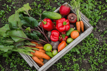 Guia PRÁTICO para cultivar 30 alimentos em apartamento! Aprenda a plantar cenoura, tomate, morango e outros + Comparativo dos melhores kits de horta urbana, substratos e ferramentas profissionais. Comece sua colheita hoje mesmo!