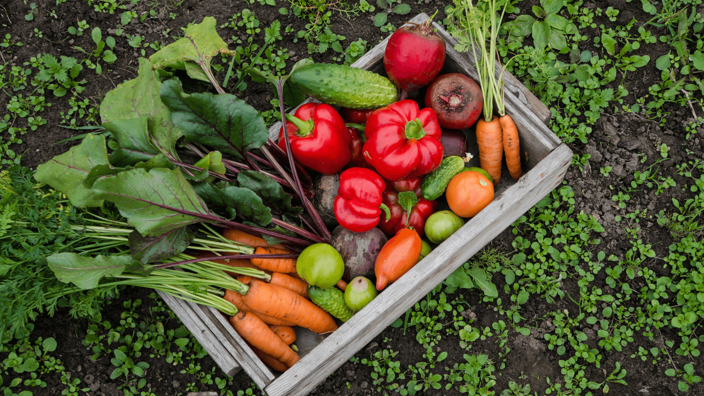 Guia PRÁTICO para cultivar 30 alimentos em apartamento! Aprenda a plantar cenoura, tomate, morango e outros + Comparativo dos melhores kits de horta urbana, substratos e ferramentas profissionais. Comece sua colheita hoje mesmo!