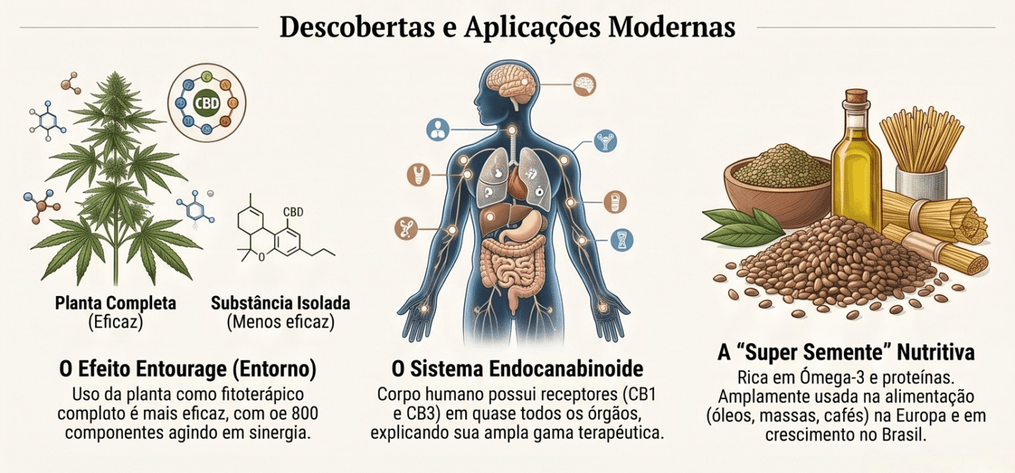 Cannabis sativa L.: A História, a Botânica e a Ciência por Trás de uma Espécie Milenar